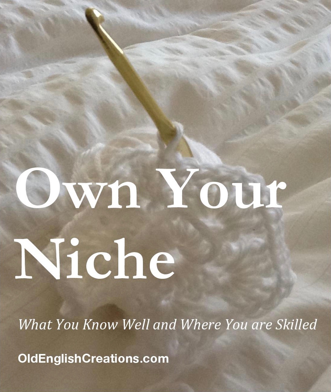Own Your Niche
